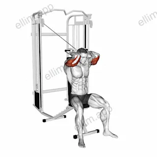 Cable Seated High Pulley Overhead Tricep Extension exercise targeting Upper Arms