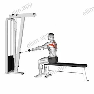 Cable Seated Horizontal Shrug exercise targeting Back