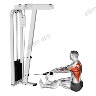 Cable Seated on Floor Row with Rope exercise targeting Back and Infraspinatus