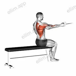 Cable Seated One Arm Alternate Row exercise targeting Back and Infraspinatus