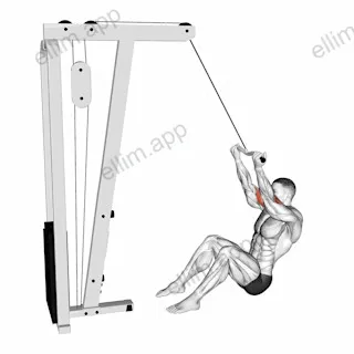 Cable Seated Overhead Curl (SZ Bar) exercise targeting Upper Arms