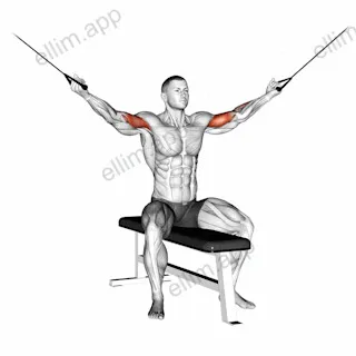 Cable Seated Overhead Curl exercise targeting Upper Arms