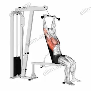 Cable Seated Pullover exercise targeting Back