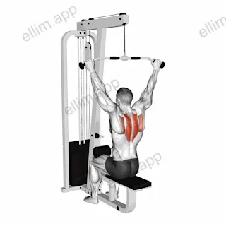 Cable Seated Reverse Shrug exercise targeting Back