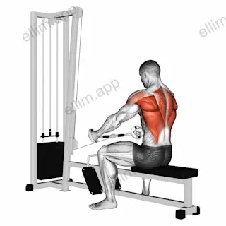 Cable Seated Row (Bent bar) exercise targeting Back and Infraspinatus