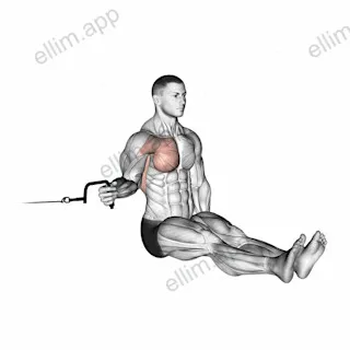 Cable Seated Shoulder Internal Rotation exercise targeting Back and Teres Major
