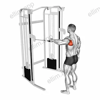 Cable Shoulder 90 degrees External Rotation exercise targeting Back and Teres Major