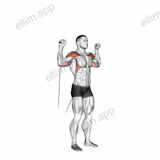 Cable Shoulder Press exercise targeting Shoulders and Deltoid Anterior