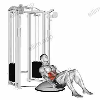 Cable Side Bend Crunch (bosu ball) exercise targeting Waist and Obliques