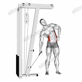 Cable Side Bend exercise targeting Waist and Obliques