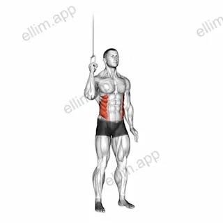 Cable Side Crunch exercise targeting Waist and Obliques