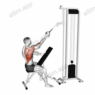Cable Single Arm High Row exercise targeting Back