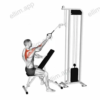 Cable Single Arm High Scapular Row exercise targeting Back