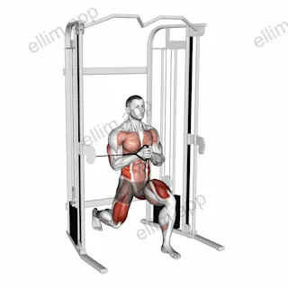 Cable Split Stance Horizontal Pallof Press exercise targeting Waist