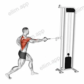 Cable Split Stance Single Arm Row exercise targeting Back