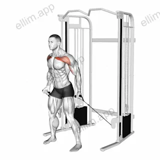 Cable Standing Alternate Low Fly exercise targeting Chest