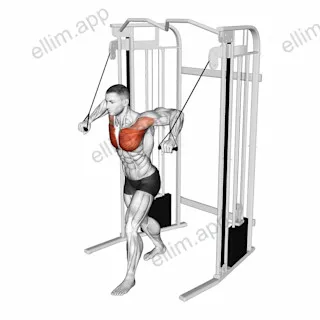 Cable Standing Crossover exercise targeting Chest