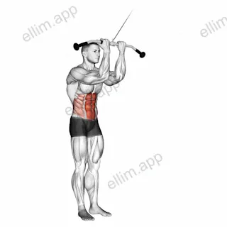 Cable Standing Crunch exercise targeting Waist and Rectus Abdominis