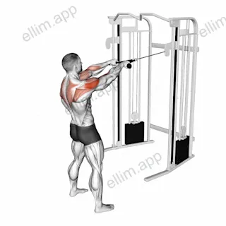 Cable Standing Face Pull (with rope) exercise targeting Shoulders and Deltoid Posterior