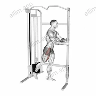 Cable Standing Hip Flexion exercise targeting Hips