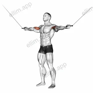 Cable Standing Inner Curl exercise targeting Upper Arms and Biceps Brachii