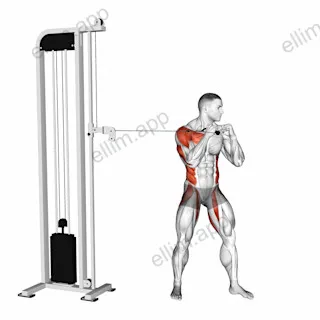 Cable Standing Jab exercise targeting Plyometrics