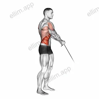 Cable Standing Lift exercise targeting Waist and Obliques
