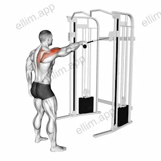 Cable Standing One Arm Face Pull exercise targeting Shoulders