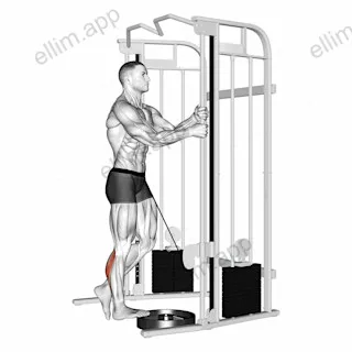 Cable Standing One Leg Calf Raise exercise targeting Calves and Gastrocnemius