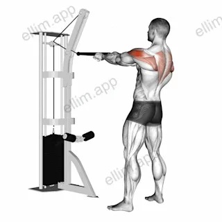 Cable Standing Rear Delt Row (with rope) exercise targeting Shoulders and Deltoid Posterior