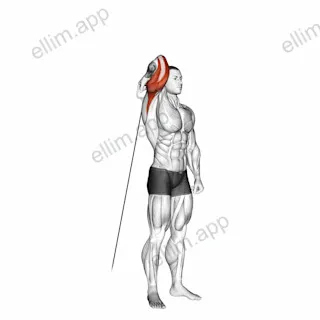Cable Standing Reverse Grip One Arm Overhead Tricep Extension exercise targeting Upper Arms