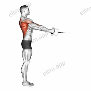 Cable Standing Row (V bar) exercise targeting Back