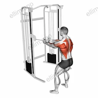 Cable Standing Row exercise targeting Back and Infraspinatus