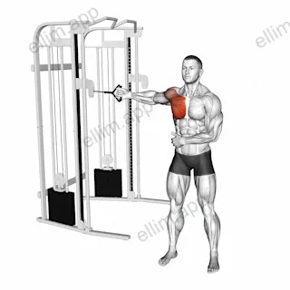 Cable Standing Single Arm Fly exercise targeting Chest
