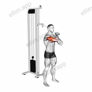 Cable Standing Single Arm Horizontal Triceps Extension exercise targeting Upper Arms