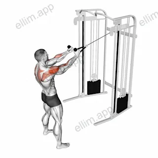 Cable Standing Supinated Face Pull (with rope) exercise targeting Shoulders