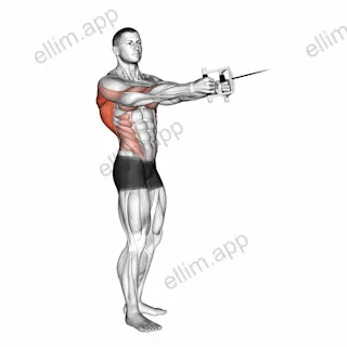Cable Standing Twist Row (V bar) exercise targeting Waist
