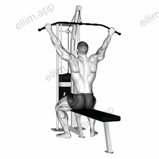 Cable Suspension Back Stretch exercise targeting Back
