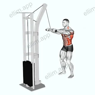 Cable Thibaudeau Kayak Row exercise targeting Latissimus Dorsi and Obliques