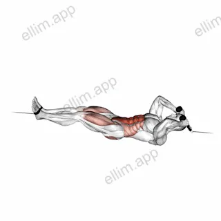 Cable Tuck Reverse Crunch exercise targeting Waist and Iliopsoas
