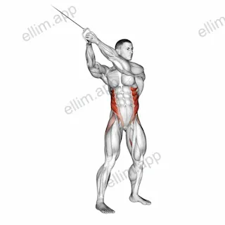 Cable twist (up down) exercise targeting Waist