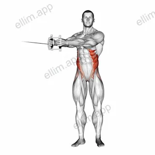 Cable Twist exercise targeting Waist and Obliques