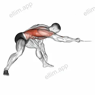 Cable Twisting Pull exercise targeting Back and Latissimus Dorsi