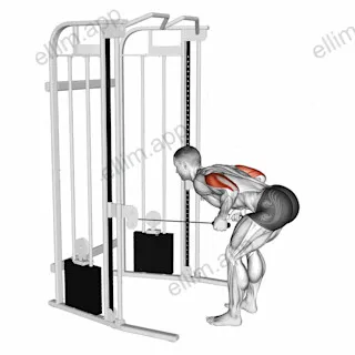 Cable Two Arm Tricep Kickback exercise targeting Upper Arms