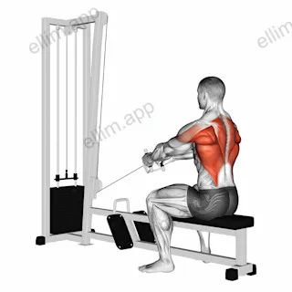 Cable Upper Row exercise targeting Back and Infraspinatus