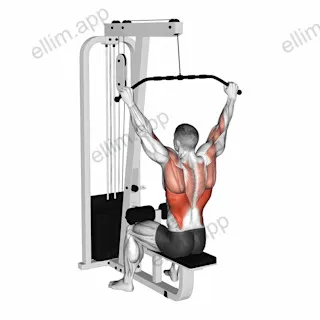 Cable Wide Pulldown exercise targeting Back and Latissimus Dorsi