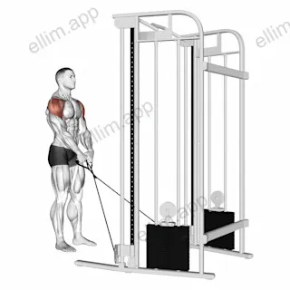 Cable Y raise exercise targeting Shoulders