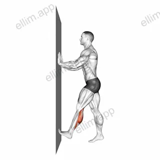 Calf Push Stretch With Hands Against Wall exercise targeting Calves and Gastrocnemius