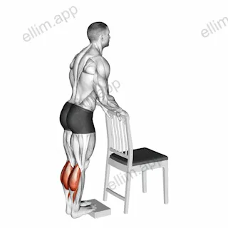 Calf Raise from Deficit with Chair Supported exercise targeting Calves and Gastrocnemius
