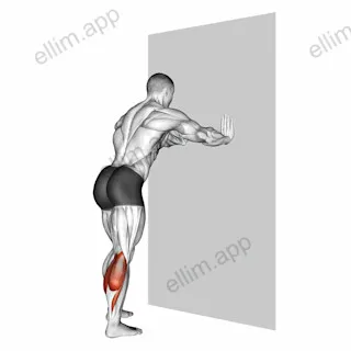 Calf Stretch With Hands Against Wall exercise targeting Calves and Gastrocnemius